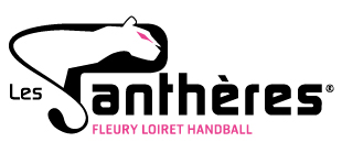 Logo Fleury Loiret Handball